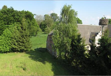 Fewo Gut Zarrentin Zarrentin  Buitenkant foto